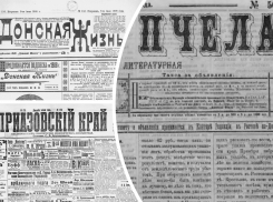 Вооруженное нападение в Нахичевани, собрание вегетарианцев и ликвидация голода: о чем писали донские газеты в 19-20 веках 8 июля