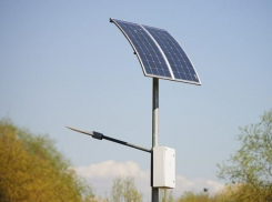 Тенистые деревья сделали невозможной установку «солнечных» фонарей в Ростове