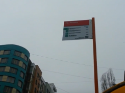 Таблички с нелепым расписанием движения появились на ростовских остановках в последний день года