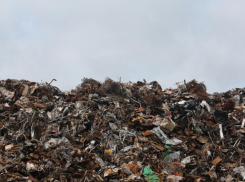 Топливную компанию обязали выплатить 14 млн рублей за загрязнение почвы под Азовом