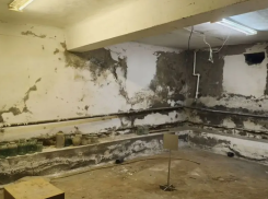 В центре Ростова под аренду выставили бывшее бомбоубежище