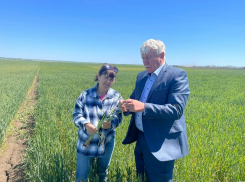 Депутаты донского заксобрания попросили правительство РФ помочь преодолеть последствия плохой погоды