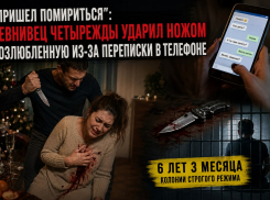 «Пришел вернуть бывшую»: ревнивец четырежды ударил ножом возлюбленную из-за переписки в телефоне