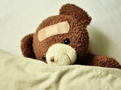 «Апчхи на вас»: каждый пятый работающий ростовчанин успел побывать на больничном в этом году