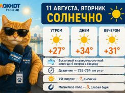 Погода в Ростове-на-Дону: жара до +34 градусов и слабая магнитная буря