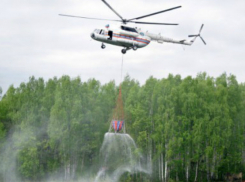 Три вертолета Ми-8 вылетели из Ростова тушить пожар в Крыму