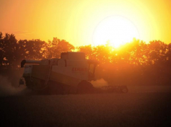 Солнечно и местами опять солнечно: прогноз погоды на 29 августа