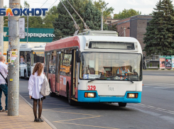 Ситуацию с троллейбусами в Ростове-на-Дону министр транспорта региона объяснила устареванием системы