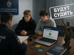 В Ростовской области двух подростков будут судить за продажу доступа к своим банковским картам