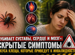 «Убивает суставы, сердце и мозг»: скрытые симптомы укуса клеща, которые могут привести к инвалидности