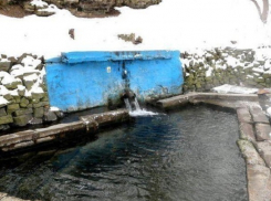 Опасные бактерии обнаружили в пяти ростовских родниках