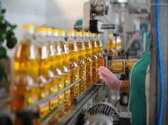 Злостно не платившего зарплату директора дисквалифицировали на год в Ростовской области