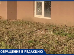 Ростовчанка попросила жителей города не бросать «бычки» на улицы