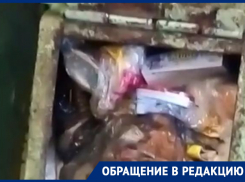 Крысы, тараканы и горы мусора несколько месяцев мучают жителей многоэтажки в Ростове