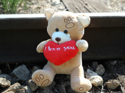 Под Ростовом поймали водителя, который насмерть сбил школьницу и уехал с места аварии