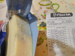 Сине-зеленое безобразие на сыре из супермаркета огорчило девушку в Ростове и повеселило соцсети