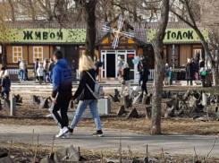 Депутат гордумы Ростова потребовала проверить работу трогательного зоопарка