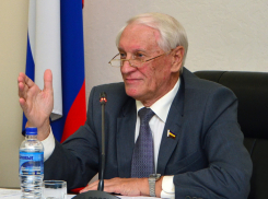 Главный по этике в донском Заксобрании за год заработал на миллион больше и купил иномарку покруче