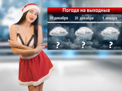 На Новый год ростовчан ожидает снег с дождем