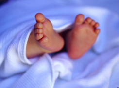 В Ростовской области с начала 2024 года умерли 32 младенца