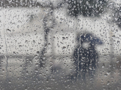 Экстренное предупреждение объявлено в Ростове из-за грозы с ливнем и сильным ветром