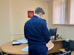 Замначальника отдела ростовской налоговой задержали за подлог и превышение полномочий