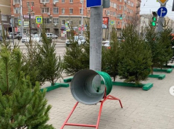 Незаконную торговлю елками пресекли в центре Ростова-на-Дону