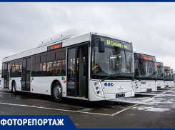 Пять новых автобусов за 95 млн рублей выйдут на маршруты Ростова в канун Нового года