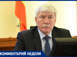 Ростовские депутаты: из-за аллергии на амброзию за медпомощью обратились более 70 тысяч человек