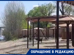 Стая бродячих псов едва не набросилась на ростовчанку на Зеленом острове