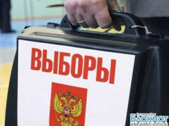 В Ростовской области стартовали выборы 