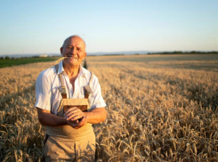 Донские аграрии собрали более 250 тысяч тонн ранних зерновых 