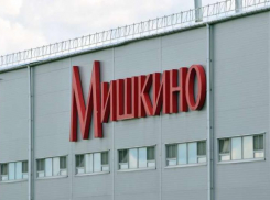 Товарные знаки и оборудование кондитерской фабрики «Мишкино» выставили на торги