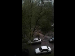 Бурлящие горные реки «топят» автомобилистов и прохожих во дворе Ростова на видео