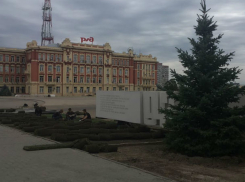 К Дню города в Ростове обновили газоны на Театралке и расчистили парк «Левобережный»