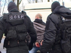 Силовики захватили мужчину с гранатой, угрожавшего взорвать дом в Ростовской области