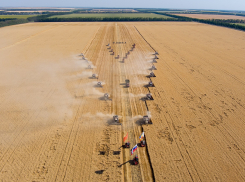 Сельхозтехника предприятия из Ростовской области прошла по полю буквой V в честь рекордного урожая