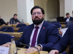 Выступивший против посадки тюльпанов в Ростове депутат снова будет баллотироваться в гордуму