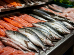 В Ростовской области сократилась отгрузка рыбной продукции