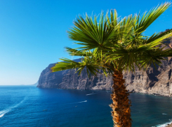 На Канары отправится лучший бухгалтер Ростовской области 