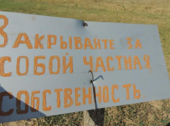В Ростовской области чиновники сдали общественные пастбища в аренду и теперь селяне готовятся резать своих коров
