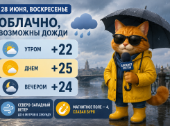 Ветреная погода и дожди могут испортить последний выходной июня в Ростове