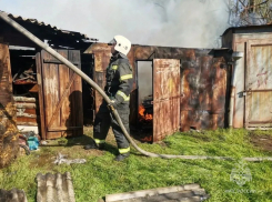 Пять жизней унесли пожары на минувшей неделе в Ростовской области
