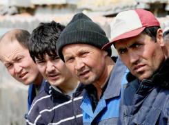 Каждый день Ростовскую область пересекает 27 тысяч мигрантов