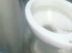 «Оборудованная» комфортабельным туалетом маршрутка до слез рассмешила жителей Ростова