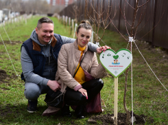 «ЮгСтройИнвест» провел день древонасаждения в Ростове