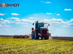 На Дону стартовала уборочная кампания: аграрии уже собрали 23 тысячи тонн зерновых