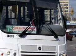 В Ростове перевозчику дали 10 дней, чтобы избежать расторжения контракта