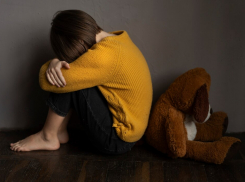 Бастрыкин поручил проверить информацию о грубом обращении с воспитанниками в детском саду Таганрога