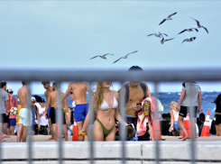 Глава донского Роспотребнадзора раскритиковал пляжные вечеринки с девочками и кальяном